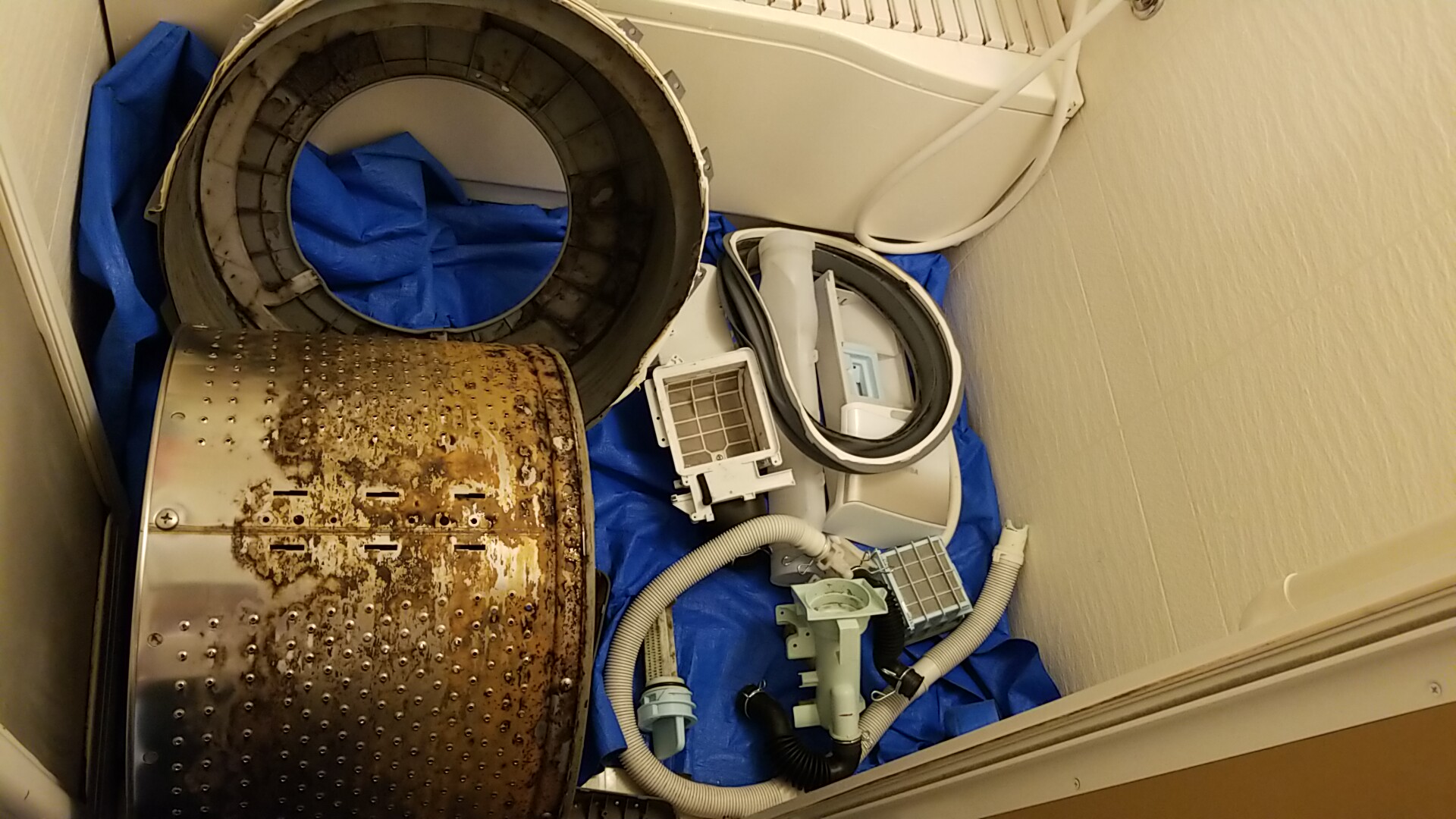 三重県桑名市 東芝製ドラム式洗濯乾燥機分解クリーニング作業
